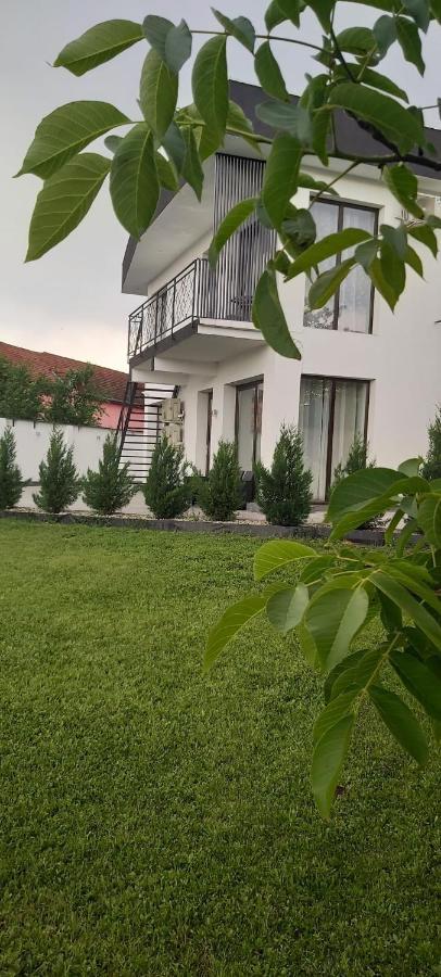 Accent Garden Apartment Deva Exterior foto